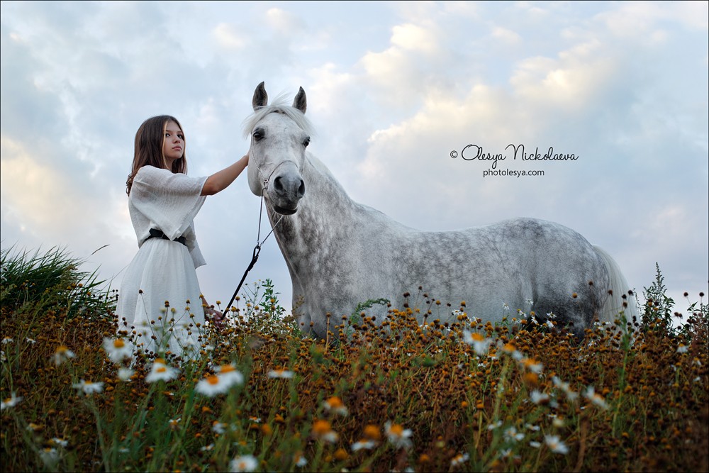  фотосессии с лошадьми ◆ horse and human