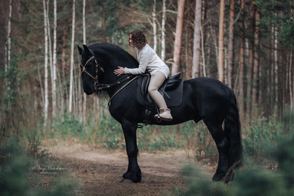  фотосессии с лошадьми ◆ horse and human