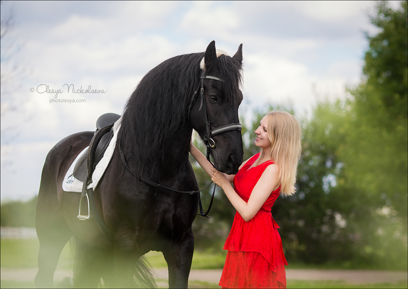  фотосессии с лошадьми ◆ horse and human
