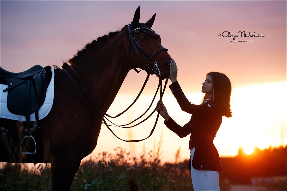  фотосессии с лошадьми ◆ horse and human