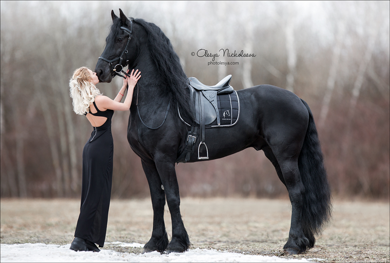  фотосессии с лошадьми ◆ horse and human