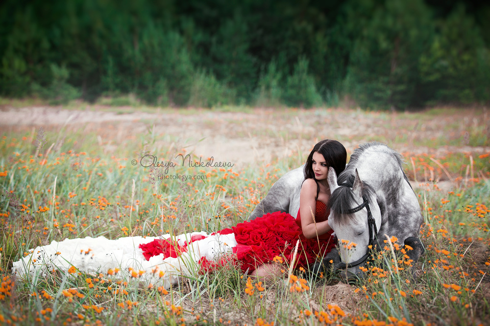  фотосессии с лошадьми ◆ horse and human