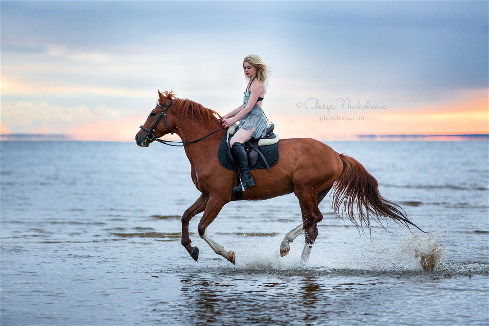  фотосессии с лошадьми ◆ horse and human