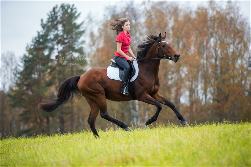  фотосессии с лошадьми ◆ horse and human