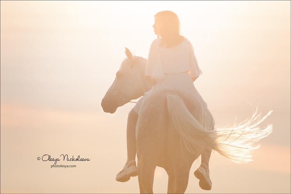  фотосессии с лошадьми ◆ horse and human