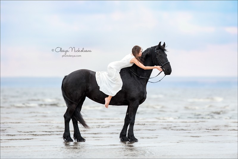  фотосессии с лошадьми ◆ horse and human