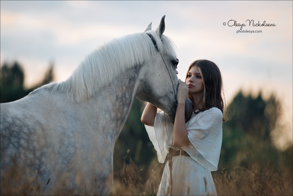  фотосессии с лошадьми ◆ horse and human