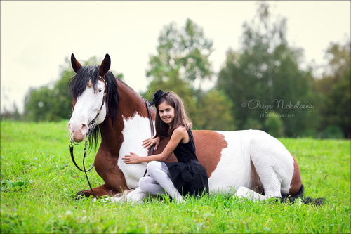  фотосессии с лошадьми ◆ horse and human