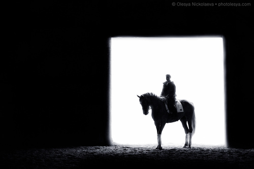  фотосессии с лошадьми ◆ horse and human
