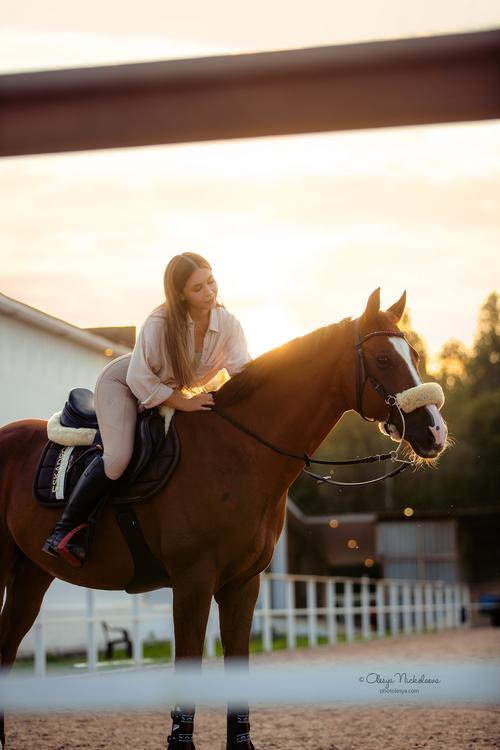  фотосессии с лошадьми ◆ horse and human