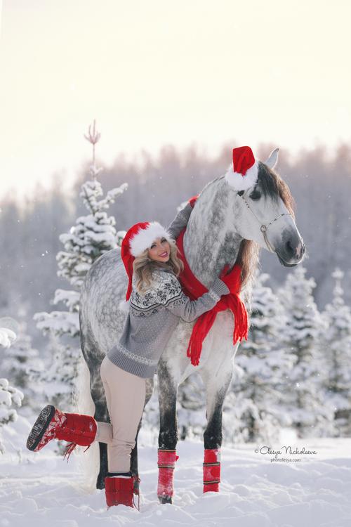  фотосессии с лошадьми ◆ horse and human