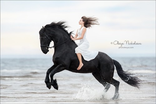  фотосессии с лошадьми ◆ horse and human