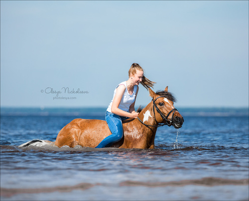  фотосессии с лошадьми ◆ horse and human