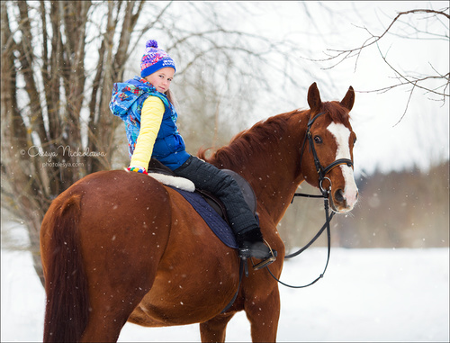  фотосессии с лошадьми ◆ horse and human