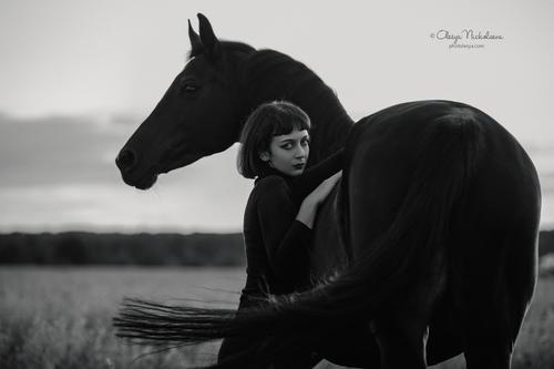  фотосессии с лошадьми ◆ horse and human