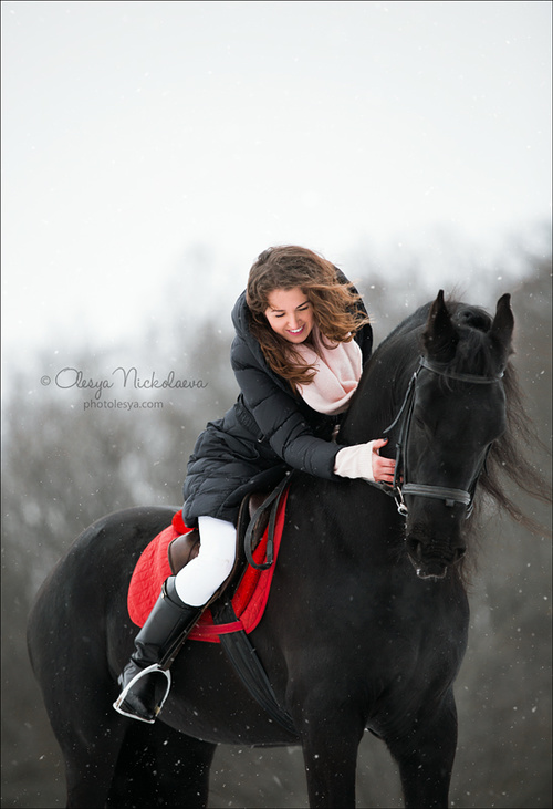  фотосессии с лошадьми ◆ horse and human