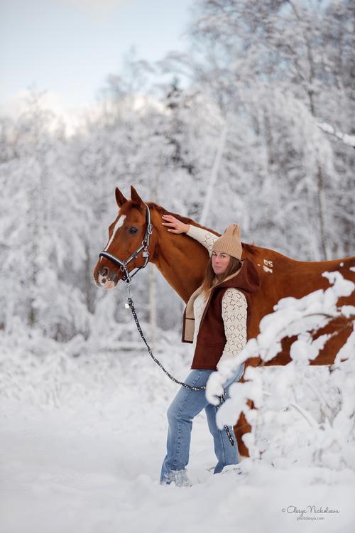  фотосессии с лошадьми ◆ horse and human