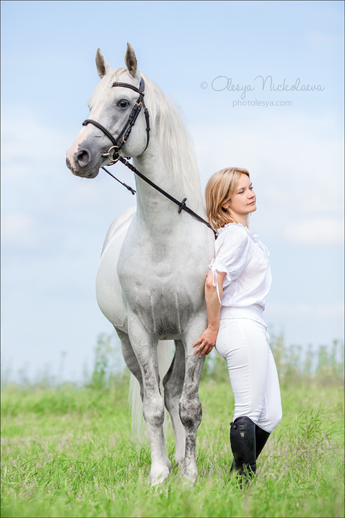  фотосессии с лошадьми ◆ horse and human