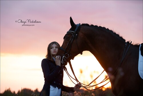 фотосессии с лошадьми ◆ horse and human