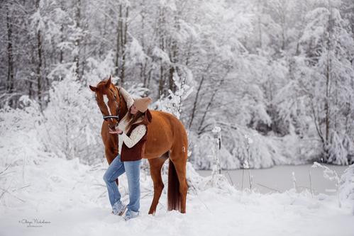  фотосессии с лошадьми ◆ horse and human