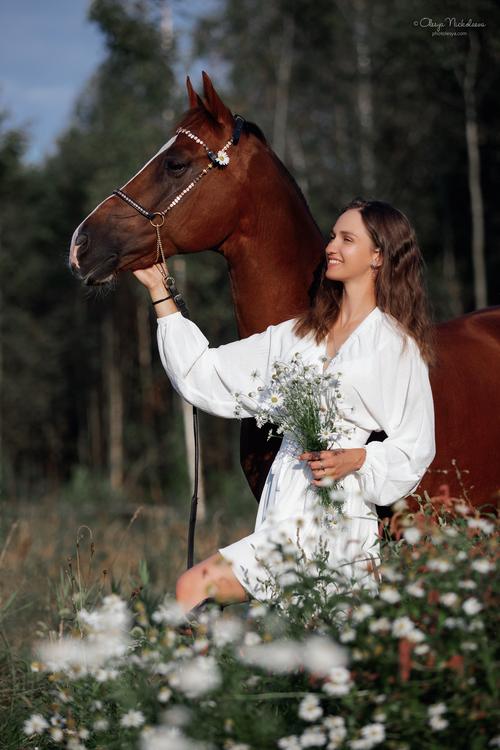  фотосессии с лошадьми ◆ horse and human