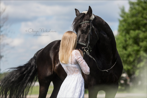  фотосессии с лошадьми ◆ horse and human