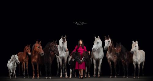  фотосессии с лошадьми ◆ horse and human