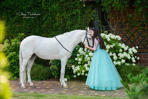  фотосессии с лошадьми ◆ horse and human