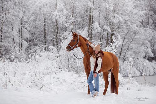  фотосессии с лошадьми ◆ horse and human