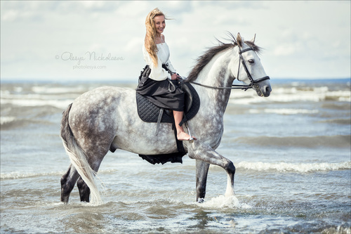  фотосессии с лошадьми ◆ horse and human