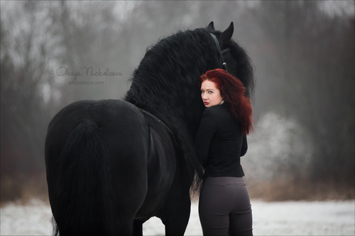  фотосессии с лошадьми ◆ horse and human