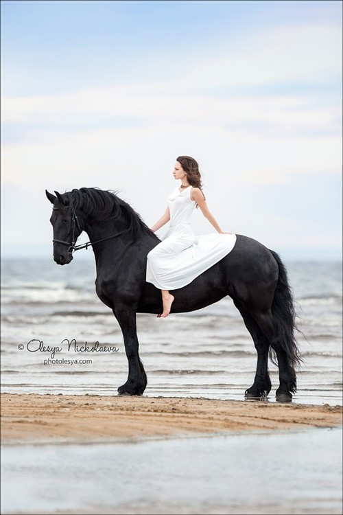  фотосессии с лошадьми ◆ horse and human