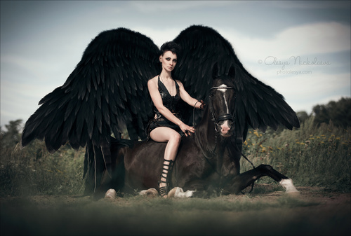  фотосессии с лошадьми ◆ horse and human