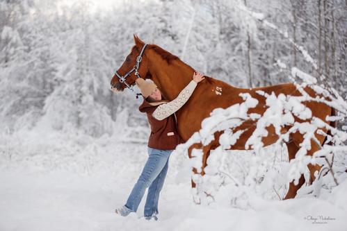  фотосессии с лошадьми ◆ horse and human