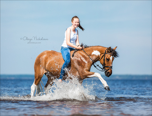  фотосессии с лошадьми ◆ horse and human