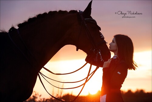  фотосессии с лошадьми ◆ horse and human