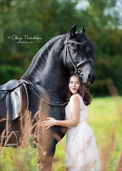  фотосессии с лошадьми ◆ horse and human