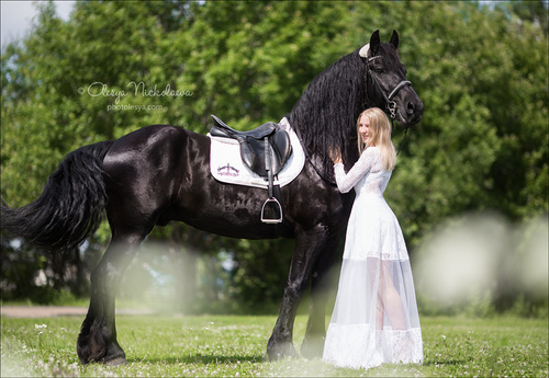  фотосессии с лошадьми ◆ horse and human