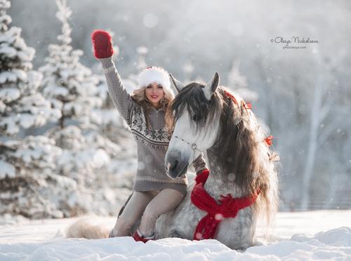  фотосессии с лошадьми ◆ horse and human