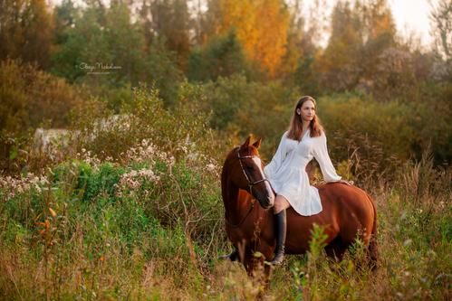  фотосессии с лошадьми ◆ horse and human