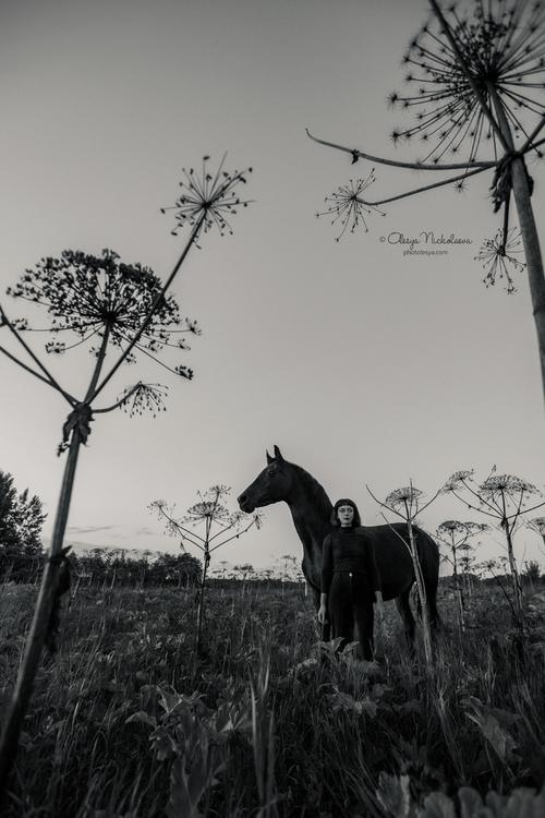  фотосессии с лошадьми ◆ horse and human