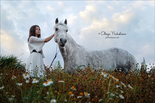  фотосессии с лошадьми ◆ horse and human