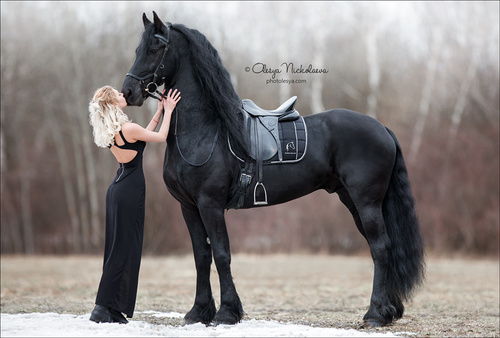  фотосессии с лошадьми ◆ horse and human