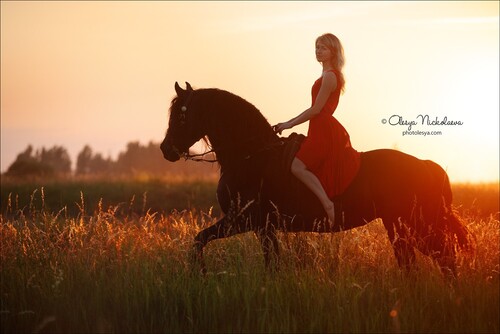  фотосессии с лошадьми ◆ horse and human