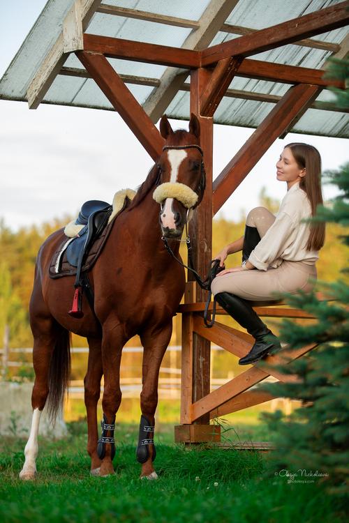 фотосессии с лошадьми ◆ horse and human