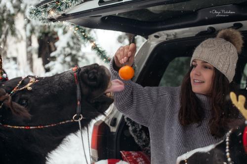  фотосессии с лошадьми ◆ horse and human