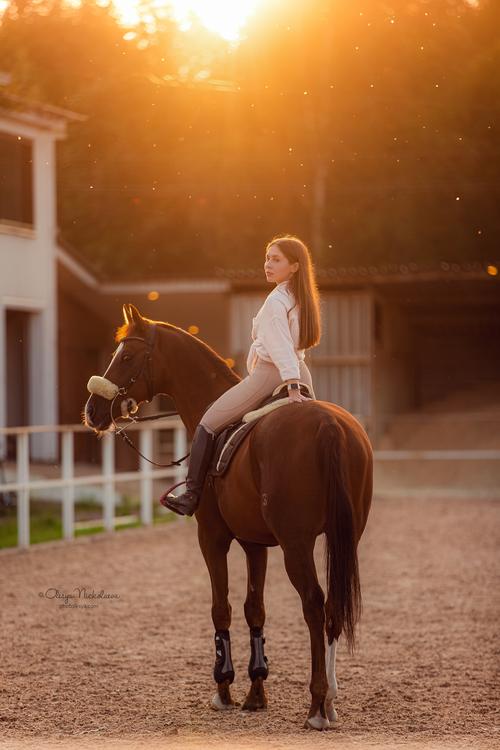  фотосессии с лошадьми ◆ horse and human