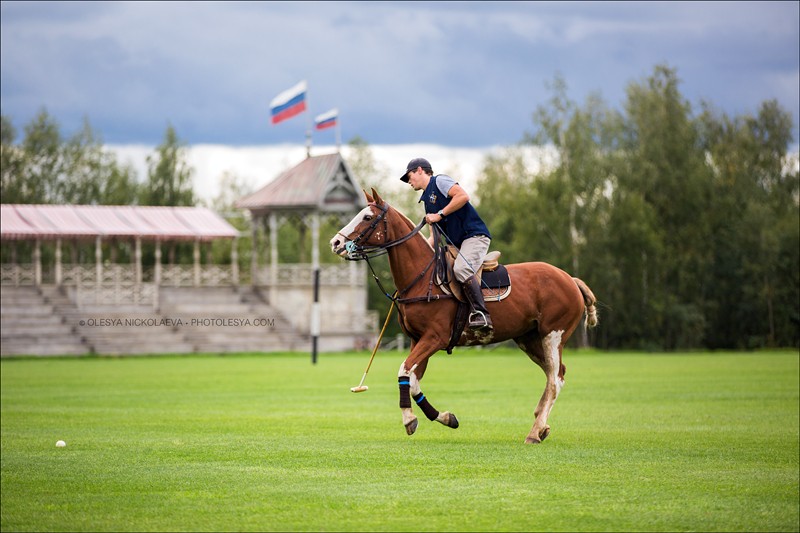  репортаж ◆ reportage 
