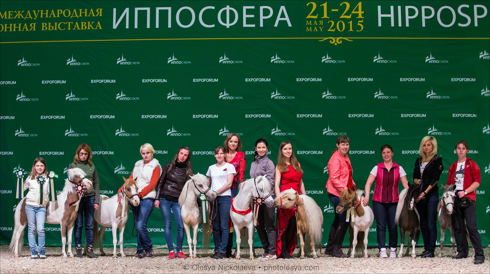  репортаж ◆ reportage 