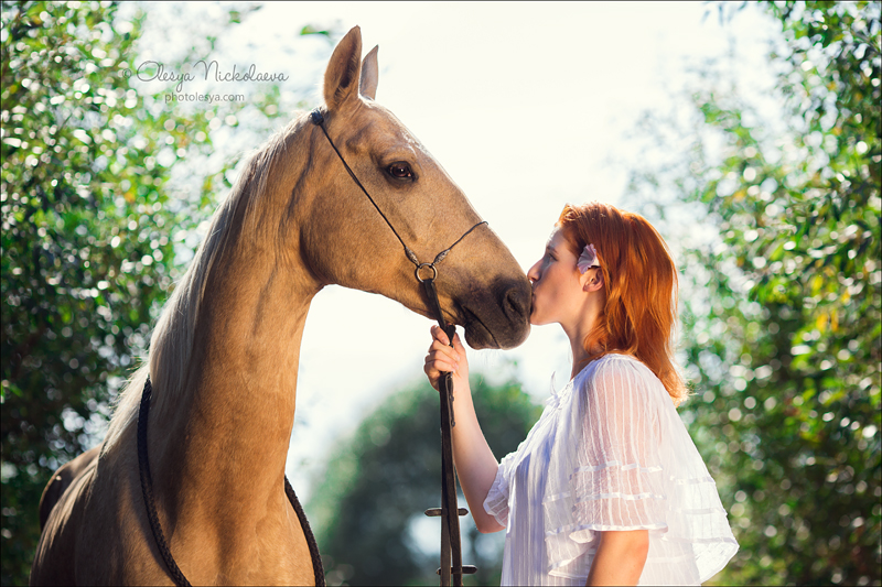  лошади и люди  ◆ horse and human